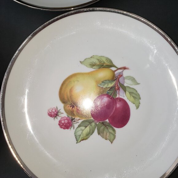 Tirschenreuth Bavaria Fruit Salad & Dssert Plates Set of 6 Platinum Rim - Picture 3 of 4